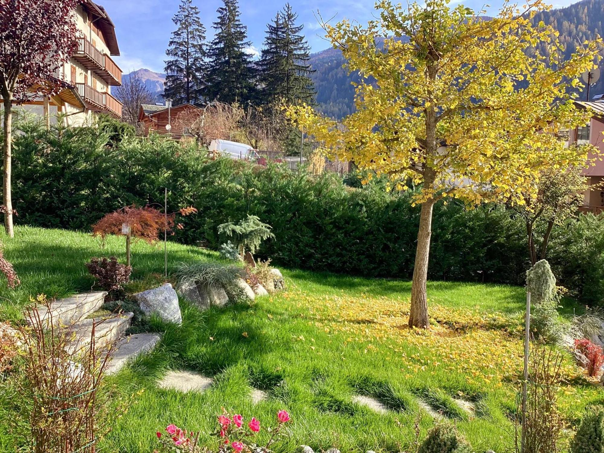 B&B Villa Paradiso 梅扎纳 外观 照片